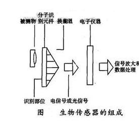 传感器的组成