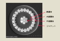  极细同轴电缆截面照片